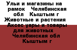 Ульи и магазины на 16 рамок - Челябинская обл., Кыштым г. Животные и растения » Аксесcуары и товары для животных   . Челябинская обл.,Кыштым г.